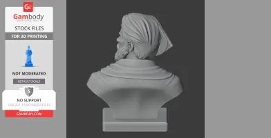 3D print bust of a historical warrior, draped cloth, and detailed beard and turban from the back view.