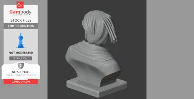 Rear view of a Marco Polo bust, featuring detailed hair and draped clothing on a pedestal.