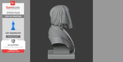 A side view of a draped bust, likely depicting a historical figure, with detailed folds in the fabric.