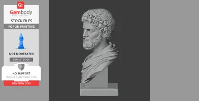 Bust of Marcus Aurelius, detailed curls and beard, draped toga, for 3D printing.