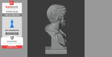 3D model of Marcus Aurelius bust, side view, intricate hair and cloak details, on a pedestal.