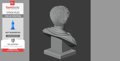 3D model of Marcus Aurelius bust from behind, detailed hair and draped clothing, ready for 3D printing.