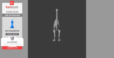 3D model of a Struthiomimus dinosaur from a rear view, suitable for 3D printing.