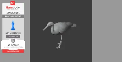 3D model of a Sunbittern bird with an elongated neck and beak, suited for 3D printing.