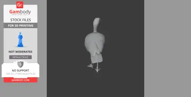 A 3D model of a sunbittern bird, viewed from the back, with detailed wings and legs.