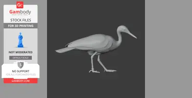 3D model of a sunbittern bird standing, designed for 3D printing.