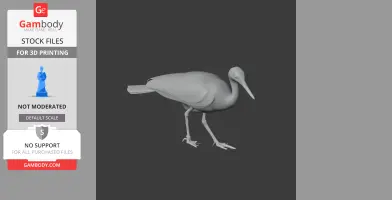 3D model of a sunbittern bird in a standing pose, designed for 3D printing.
