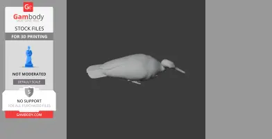 3D model of a sunbittern bird in a resting pose, suitable for 3D printing.