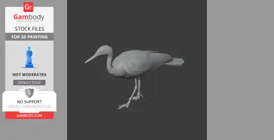 A 3D model of a Sunbittern bird standing, designed for 3D printing.