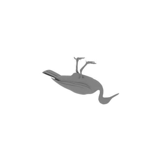 Sunbittern Bird.stl