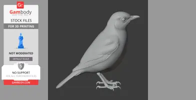 A 3D model of a thrush, a small bird with detailed feathers, standing on its legs.