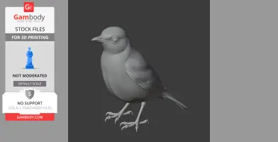 3D model of a thrush bird, shown standing, suitable for 3D printing.