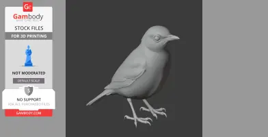 A 3D model of a standing thrush, detailed with feathers and closed wings, for 3D printing.