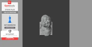 Marie Antoinette Bust - Historical Warrior STL