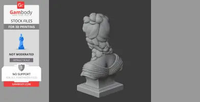 Marie Antoinette Bust - Historical Warrior STL