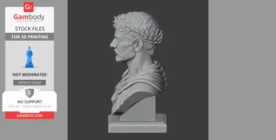 3D bust of a historical warrior, with a laurel wreath and draped clothing, viewed from the side.