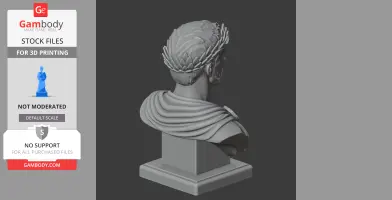 3D bust of a classical warrior with laurel wreath and draped robe, viewed from the back.
