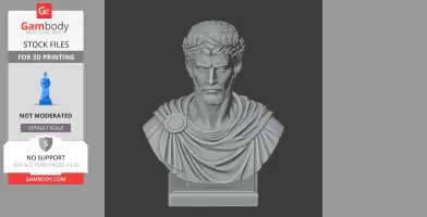 3D bust of a historical warrior with laurel wreath, draped clothing, and detailed facial features.