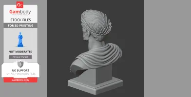Bust of a historical warrior from behind, wearing a laurel wreath and draped garment.