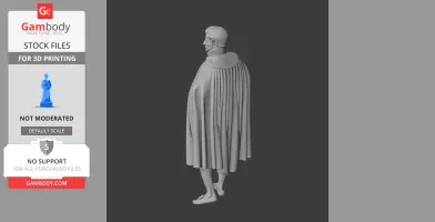 3D model of a Napoleonic-era soldier in a detailed, flowing cape, viewed from the back.