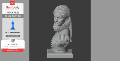 Mary Queen of Scots Bust - Historical Warrior STL
