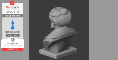 Mehmed the Conqueror Bust - Historical Warrior STL