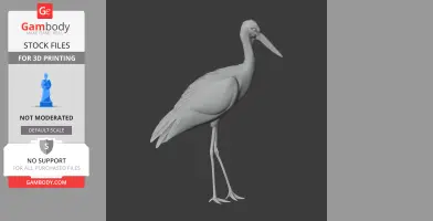 3D model of a prehistoric stork-like bird, standing with detailed feathers and beak.