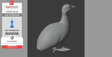 3D model of a standing Tinamou bird, showcasing its body shape and beak for printing.