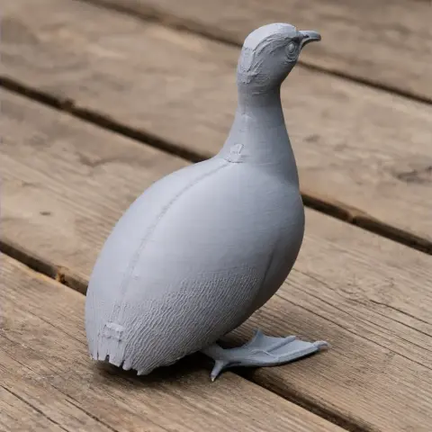 3D-printed model of a prehistoric Tinamou bird, with detailed features, standing on a wooden surface.