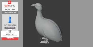 3D model of a tinamou bird, featuring smooth contours, detailed feet, and a distinct beak for printing.