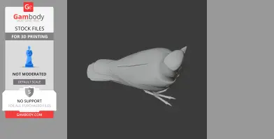 3D model of a prehistoric bird-like creature, viewed from above, in gray on a dark background.