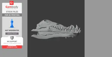 Elasmosaurus Skull - Skull Replica STL
