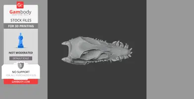 Elasmosaurus Skull - Skull Replica STL