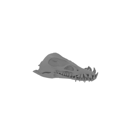 Elasmosaurus Skull.stl