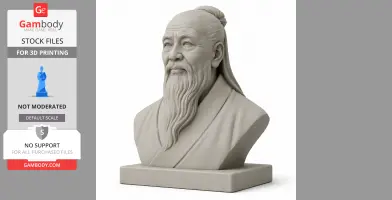 Lao Tzu Bust - Historical Warrior STL