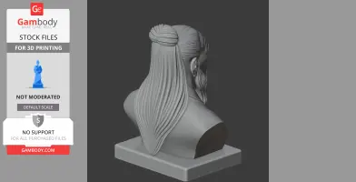 Lao Tzu Bust - Historical Warrior STL