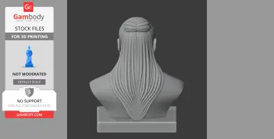 Lao Tzu Bust - Historical Warrior STL