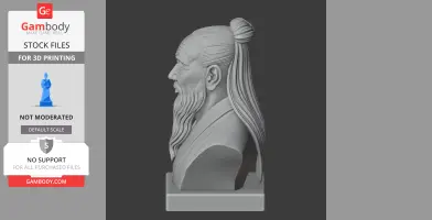 Lao Tzu Bust - Historical Warrior STL