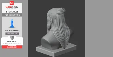Lao Tzu Bust - Historical Warrior STL
