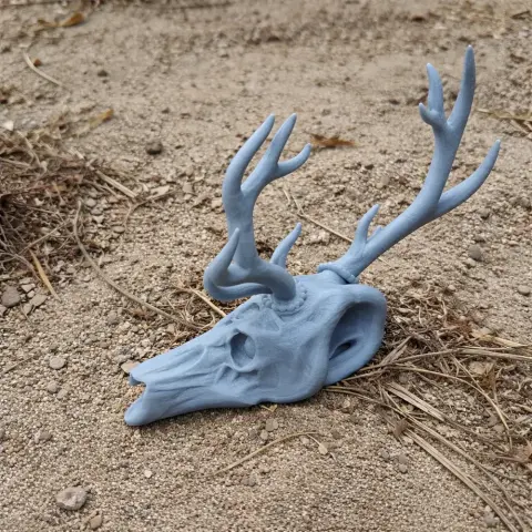 Elk Skull - Skull Replica STL
