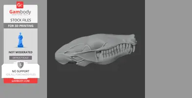 European Mole Skull - Skull Replica STL
