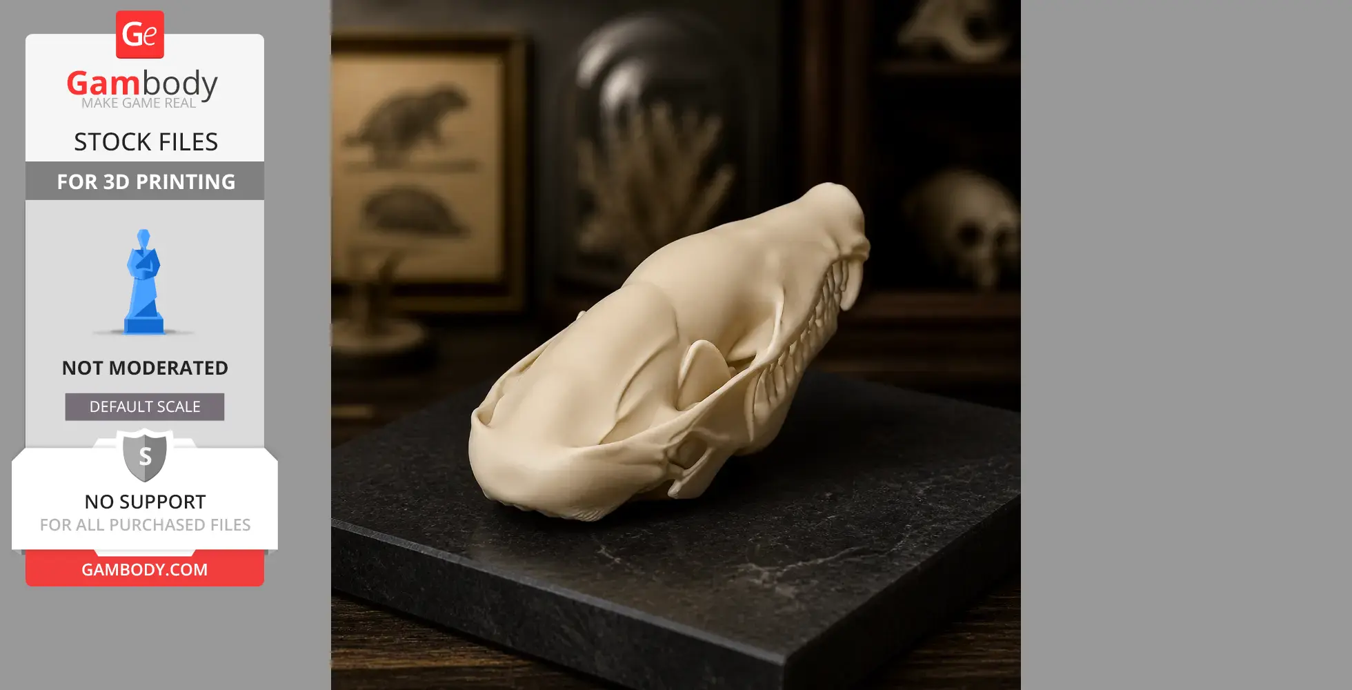European Mole Skull - Skull Replica STL