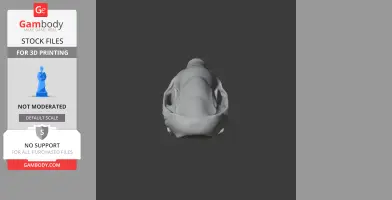 European Mole Skull - Skull Replica STL