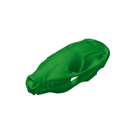 European Mole Skull.3mf