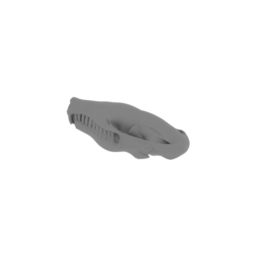 European Mole Skull.stl