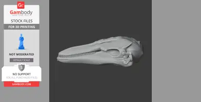 Finless Porpoise Skull - Skull Replica STL