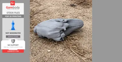 Finless Porpoise Skull - Skull Replica STL
