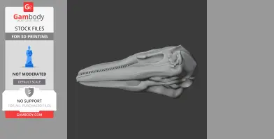 Finless Porpoise Skull - Skull Replica STL