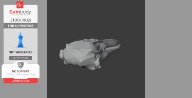 Finless Porpoise Skull - Skull Replica STL