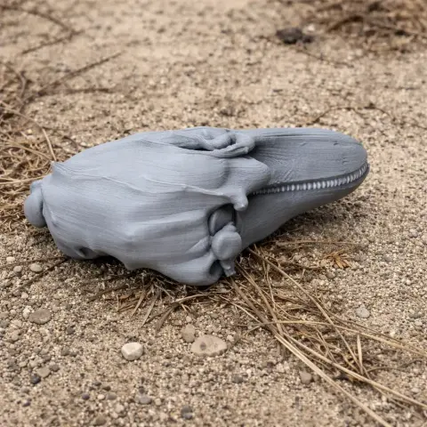 Finless Porpoise Skull - Skull Replica STL